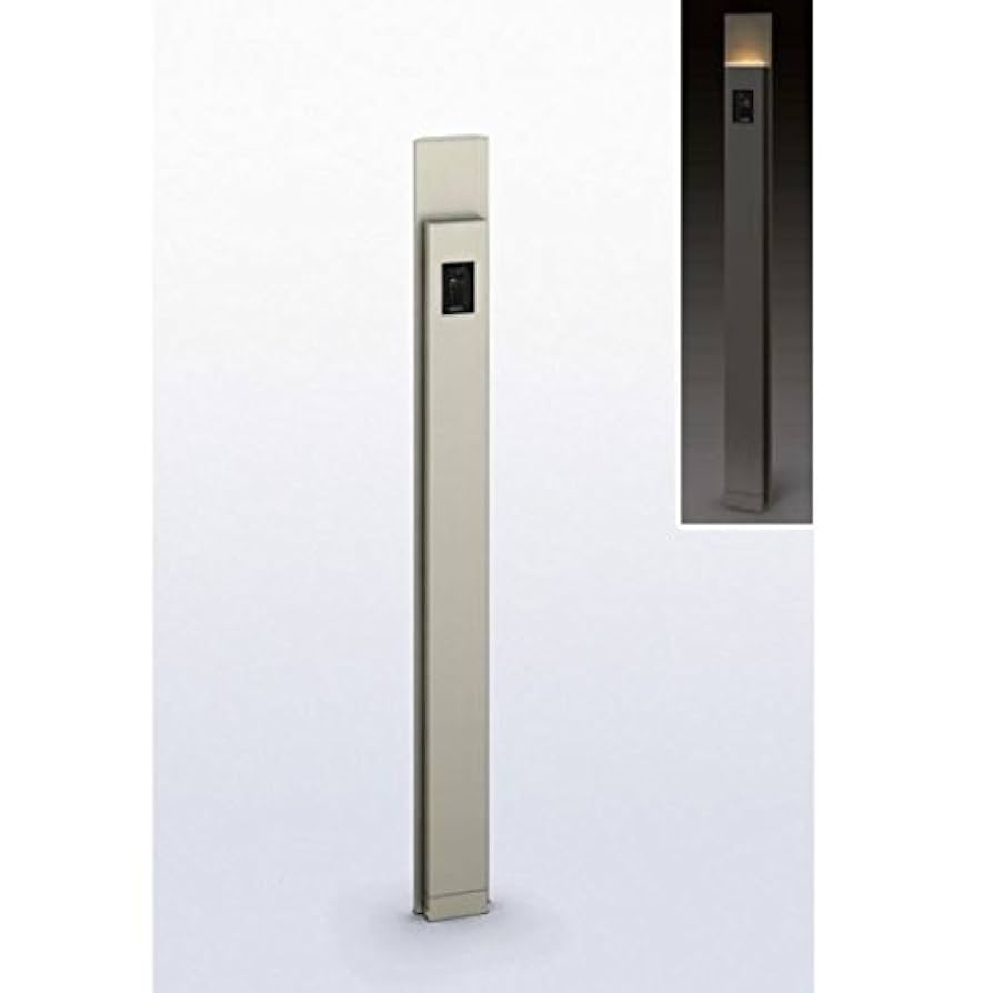 BGS10 ブラックラベル　ウォールナットの正体クルミSSP ヴァイスシュヴァルツ ウォールナットの正体 クルミ ブラック